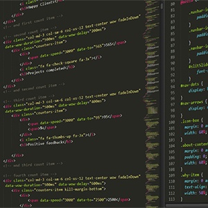 Secure Application Developer Trainings