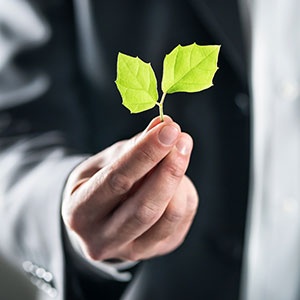 ISO 20400 Guidelines for Sustainable Procurement